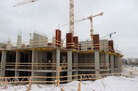 IMG_5235.JPG